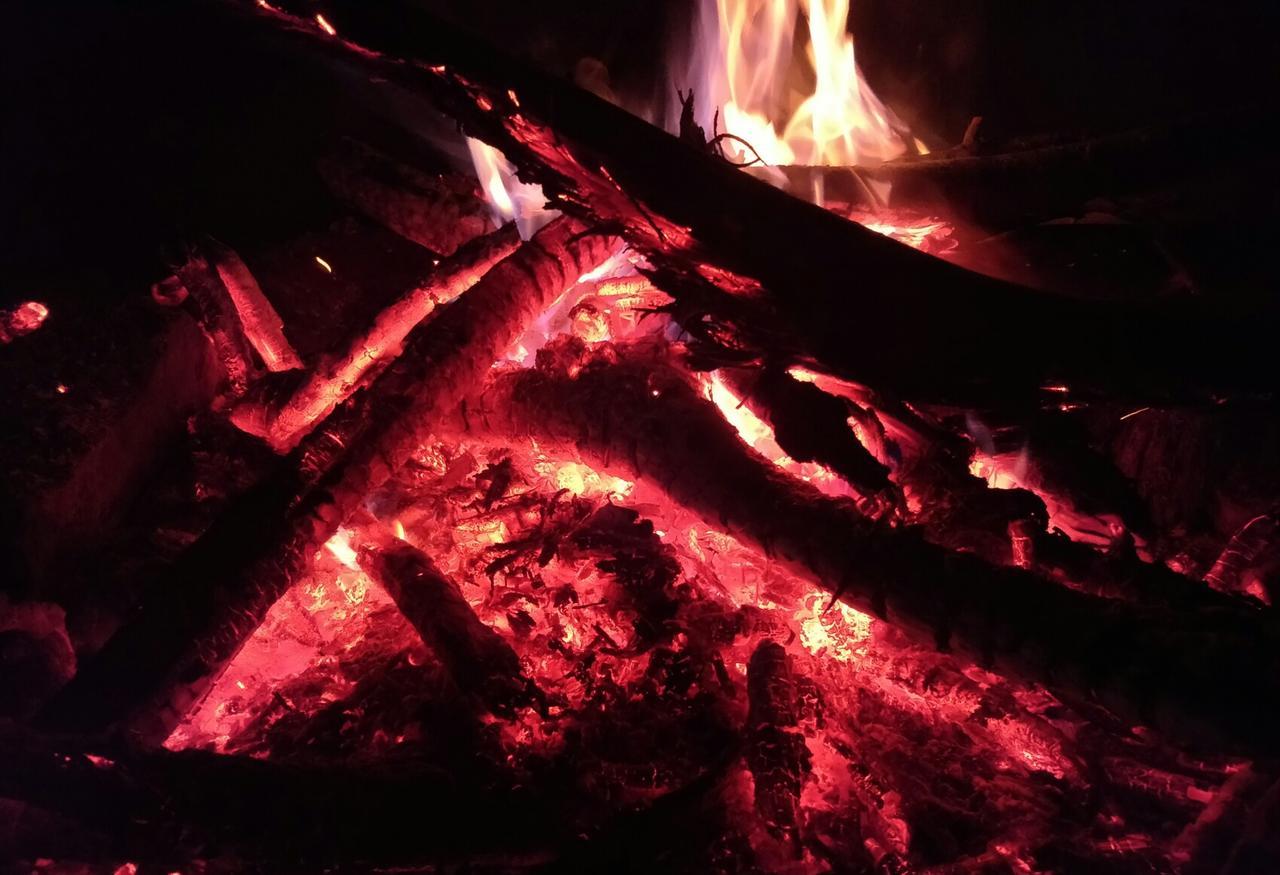 Bluebell Homestay Chikmagalūr エクステリア 写真